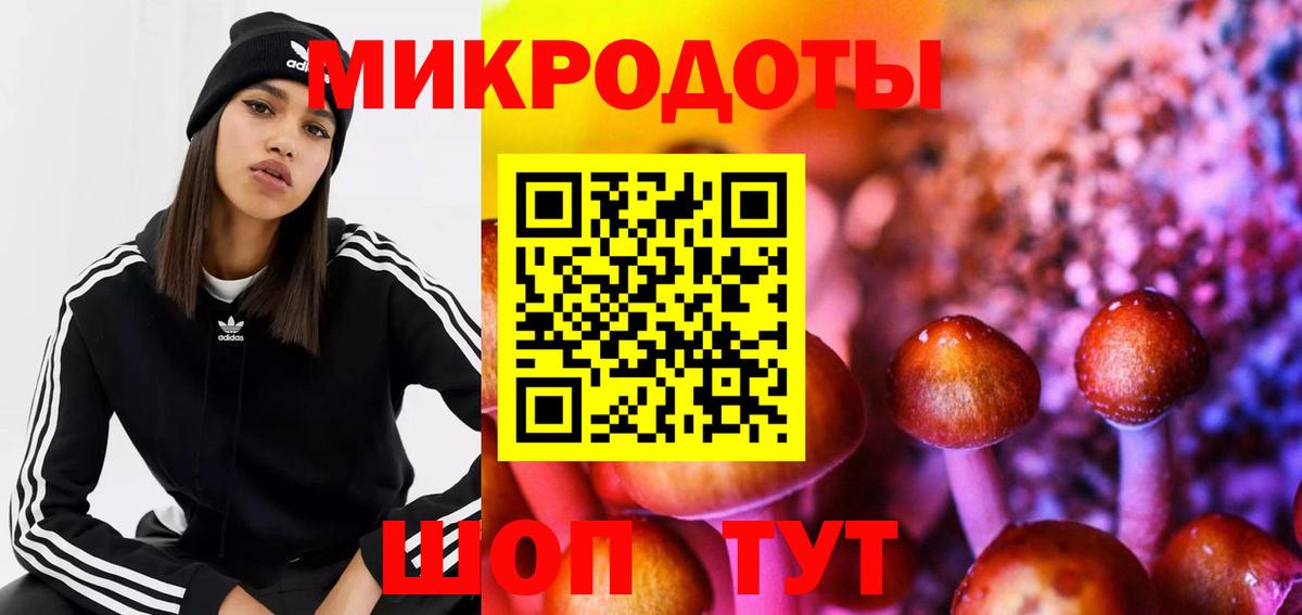 Галлюциногенные грибы Cubensis  Вход с VPN  Биробиджан 