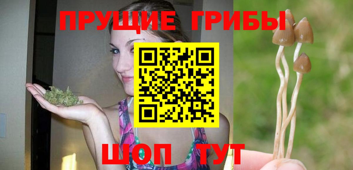 Галлюциногенные грибы мицелий Биробиджан